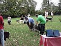img 026